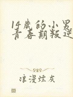 14岁的小男孩青春期叛逆怎么办