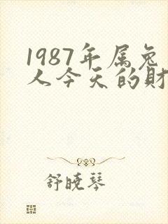 1987年属兔人今天的财运