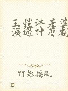 王恺沐老婆陈静演过什么剧