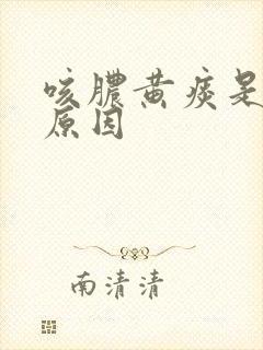 咳脓黄痰是什么原因