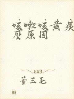 咳嗽咳黄痰是什么原因