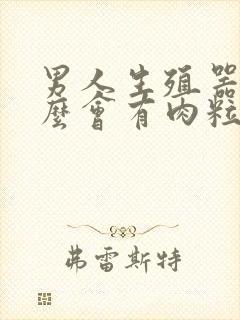 男人生殖器为什么会有肉粒