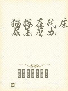 猫总在我床上拉尿怎么办