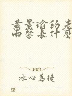 黄景瑜的老婆王雨馨长什么样