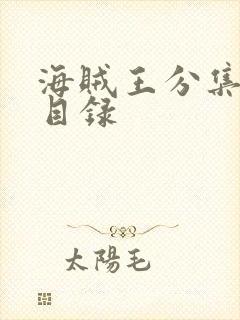 海贼王分集标题目录封面