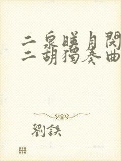 二泉映月闵惠芬二胡独奏曲