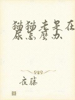 猫猫老是在床上尿怎么办