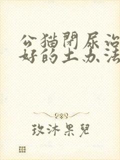 公猫闭尿治疗最好的土办法