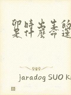 卯时出生的女孩是什么命运