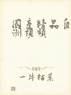 国产精品自拍亚洲视频