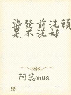 染发前洗头好还是不洗好封面