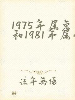 1975年属兔和1981年属鸡的合婚吗封面