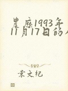 农历1993年11月17日的八字封面