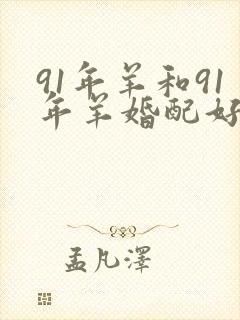 91年羊和91年羊婚配好不好封面