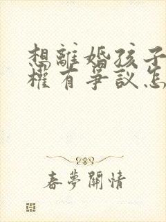 想离婚孩子抚养权有争议怎么办