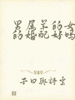 男属羊的女属兔的婚配好吗