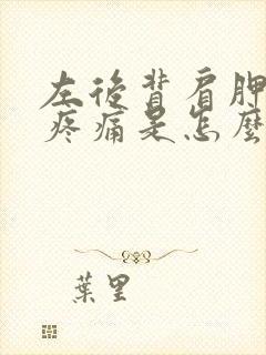 左后背肩胛骨下疼痛是怎么回事