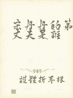 宋丹丹的第二任丈夫是谁