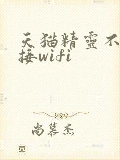 天猫精灵不能连接wifi