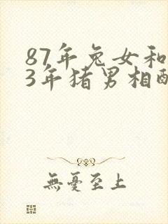 87年兔女和83年猪男相配吗