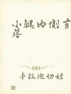 小腿内侧有硬疙瘩