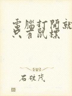 电脑打开就黑屏只有鼠标