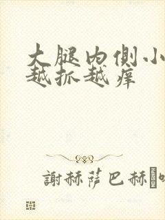 大腿内侧小疙瘩越抓越痒