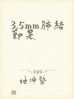 3.5mm肺结节是封面