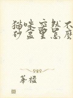 猫咪突然不尿猫砂盆里怎么办