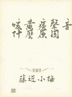 咳黄痰声音哑是什么原因