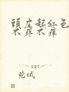 头皮起红色疙瘩不疼不痒