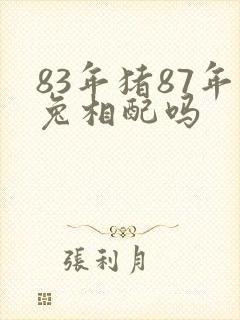 83年猪87年兔相配吗封面