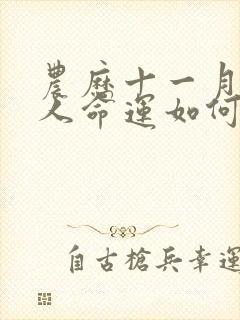 农历十一月蛇的人命运如何