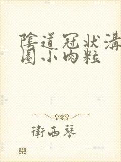 阴道冠状沟有一圈小肉粒