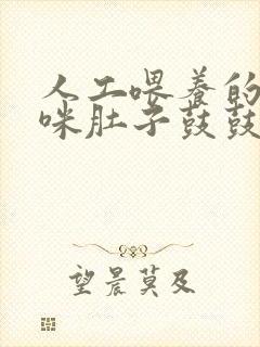 人工喂养的小猫咪肚子鼓鼓的