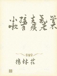 小孩支气管炎咳嗽有痰老不好怎么办