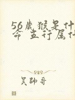 56岁猴是什么命 五行属什么封面