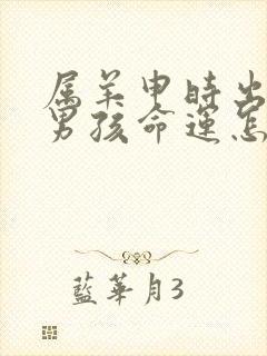 属羊申时出生的男孩命运怎么样