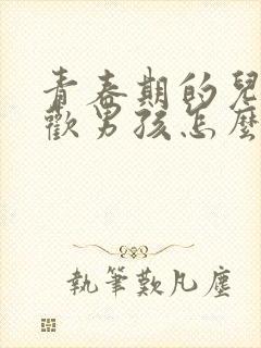 青春期的儿子喜欢男孩怎么办封面