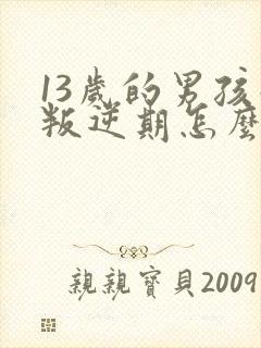 13岁的男孩子叛逆期怎么办