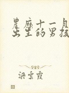 农历十一月十八出生的男孩子命运好吗?