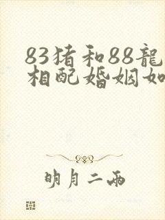 83猪和88龙相配婚姻如何封面