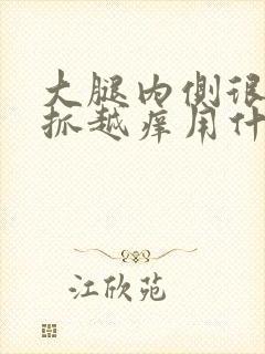 大腿内侧很痒越抓越痒用什么药