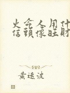 火命人用什么微信头像旺财