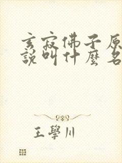 玄寂佛子原著小说叫什么名字封面