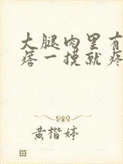 大腿肉里有硬疙瘩一摸就疼怎么回事封面