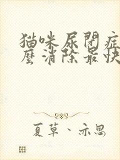 猫咪尿闭症状怎么消除最快