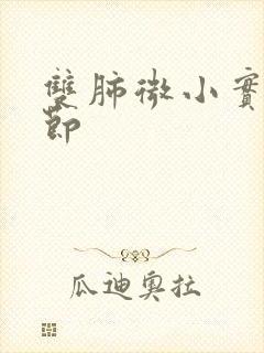 双肺微小实性结节