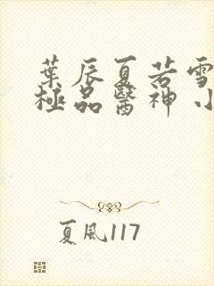 叶辰夏若雪都市极品医神 小说