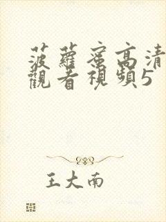 菠萝蜜高清在线观看视频5